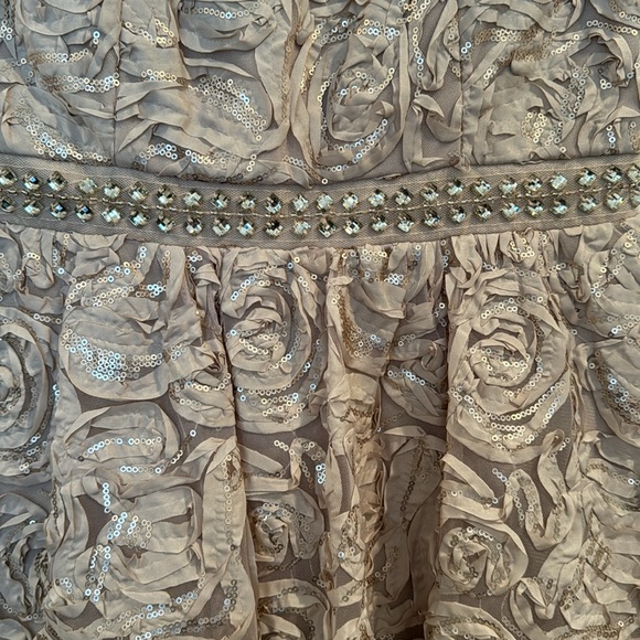 Champagne color Dress - Picture 3 of 3